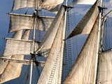 Rsotock - Hanse Sail
